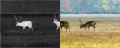 resize_2266x736_d1_50.png