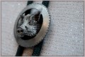 nowe bole 003-01